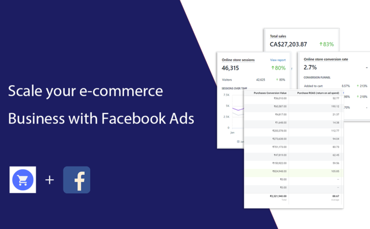 Ecommerce Facebook Ads